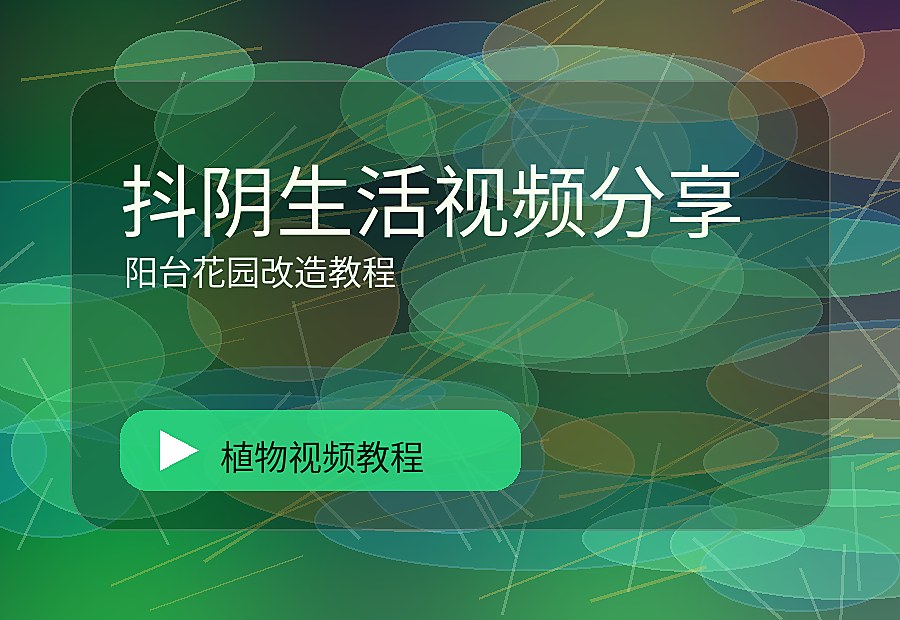国品绿影