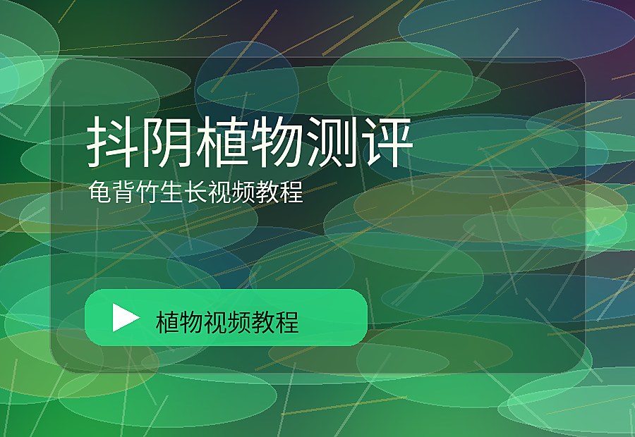 国品绿影