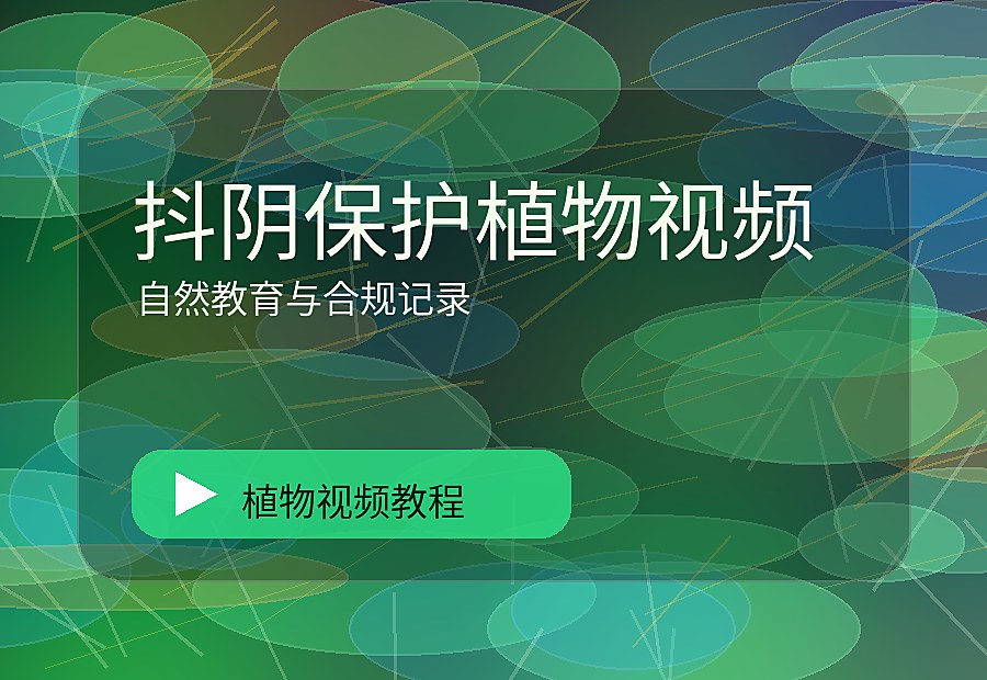 国品绿影