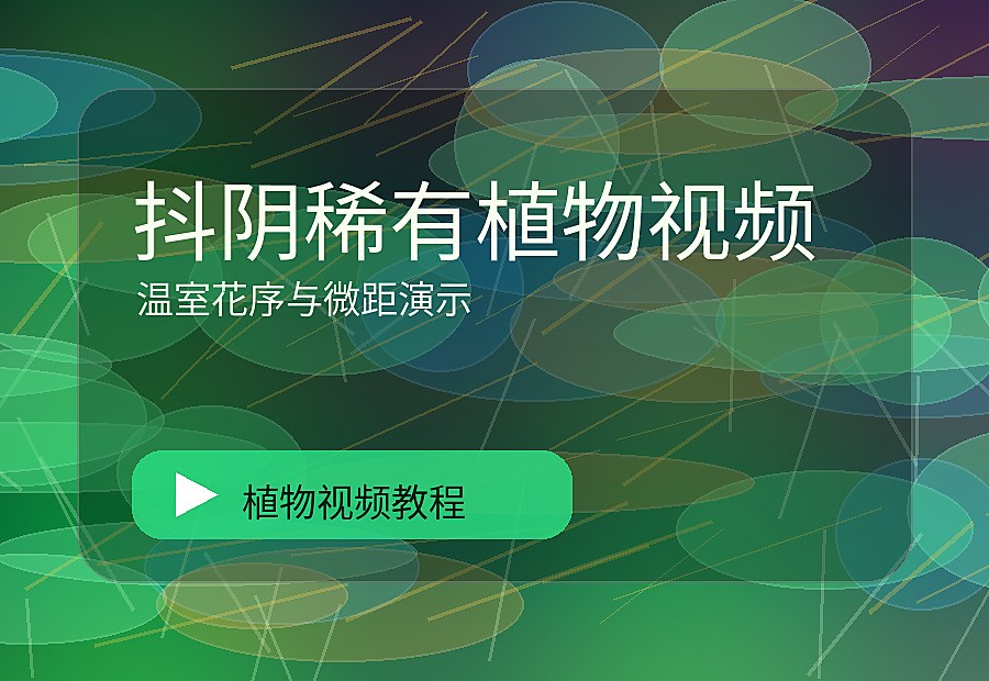 国品绿影